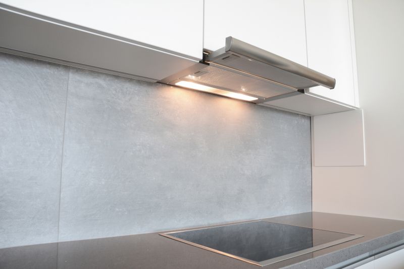 Modern Kitchen with Cabinet Lights